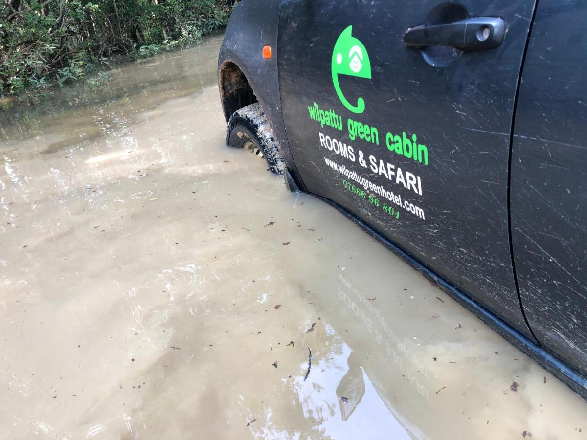 Wilpattu Green Cabin Achchamulai Экстерьер фото