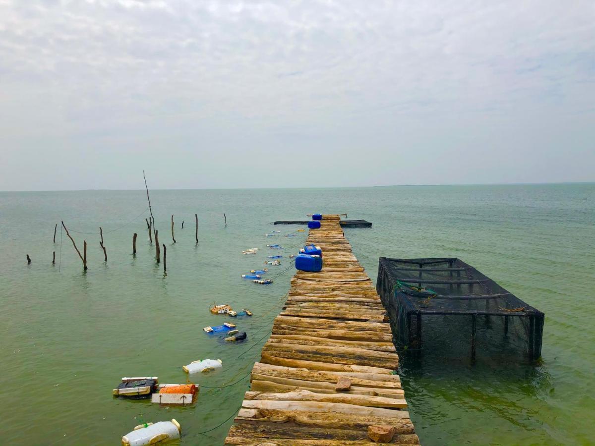 Wilpattu Green Cabin Achchamulai Экстерьер фото