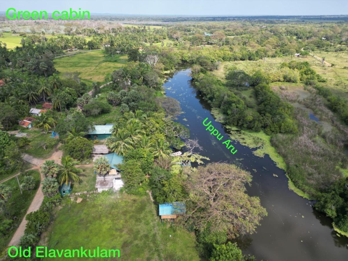Wilpattu Green Cabin Achchamulai Экстерьер фото