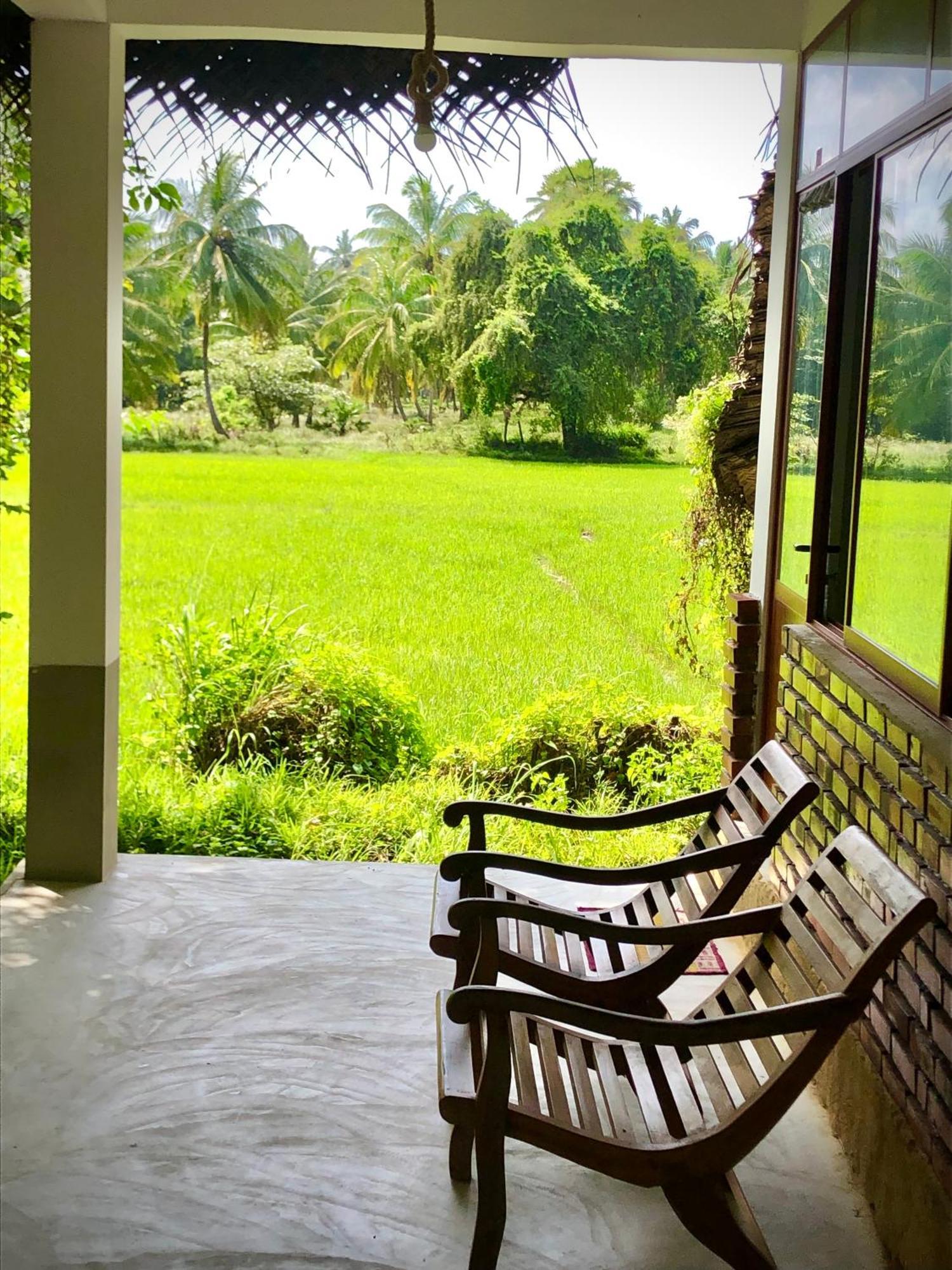 Wilpattu Green Cabin Achchamulai Экстерьер фото